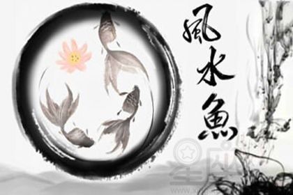 白玉紅龍魚最建議買嗎（如何辨別優(yōu)質(zhì)白玉紅龍魚）