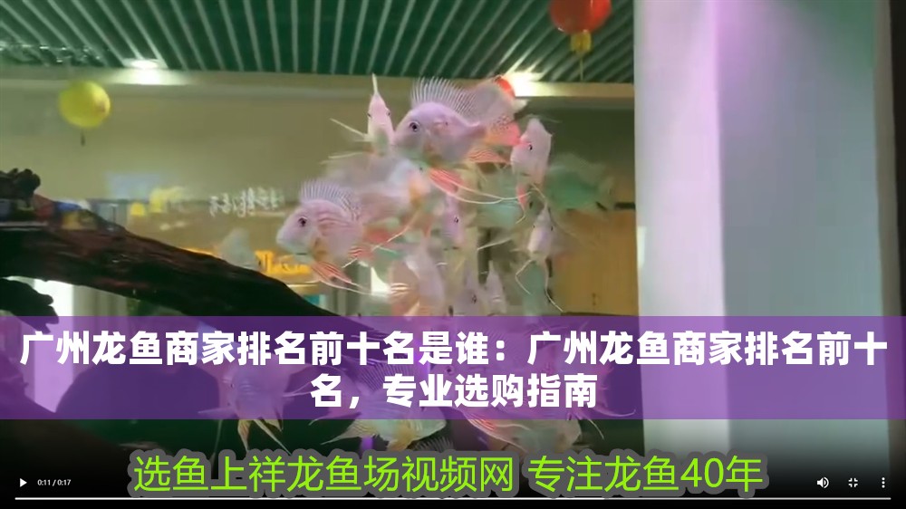 廣州龍魚商家排名前十名是誰：廣州龍魚商家排名前十名，專業選購指南