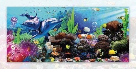 養(yǎng)龍魚魚缸背景圖高清無水印：養(yǎng)龍魚魚缸背景圖怎么選