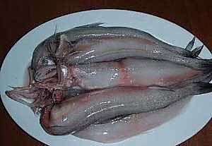 龍魚怎樣做才好吃：清蒸龍魚的家常做法，
