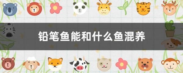 銀龍魚能和藍鯊混養嗎