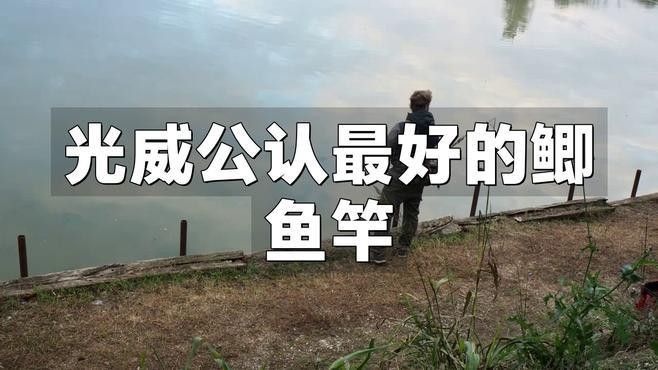 藏龍魚線怎么樣