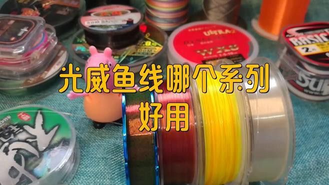 藏龍魚線怎么樣