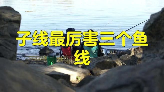藏龍魚線怎么樣