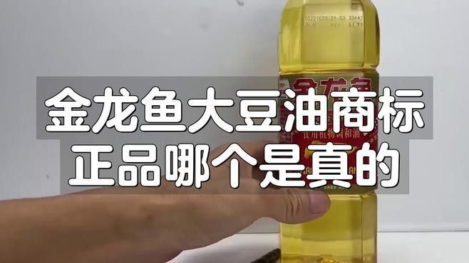 金龍魚怎么查真假鑒別