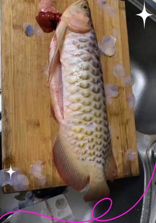 石家莊金龍魚做菜好吃嗎現在