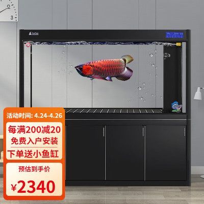養龍魚最小用多大的魚缸（養龍魚的最小魚缸尺寸）
