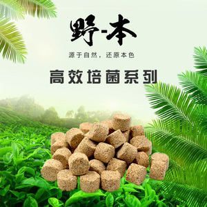 龍魚用生化環好嗎（生化環對于龍魚缸來說是一個有效的濾材選擇）