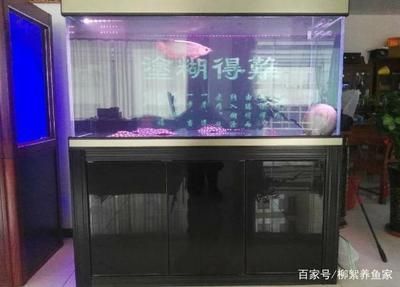龍魚用慶大霉素用量：關于龍魚使用慶大霉素的正確用量