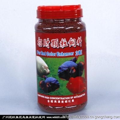 廣州批發金龍魚聯系電話（廣州批發金龍魚的聯系電話）