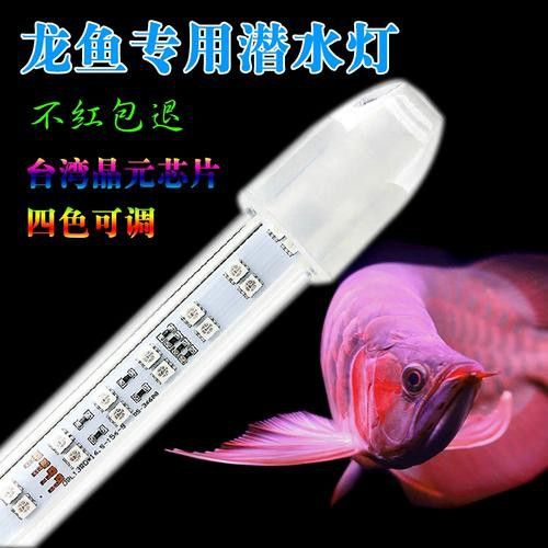 金龍魚水中燈位置示意圖