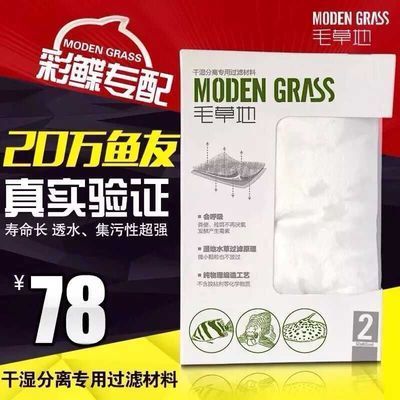 家庭用魚缸樣式和價格（智能魚缸與普通魚缸對比）