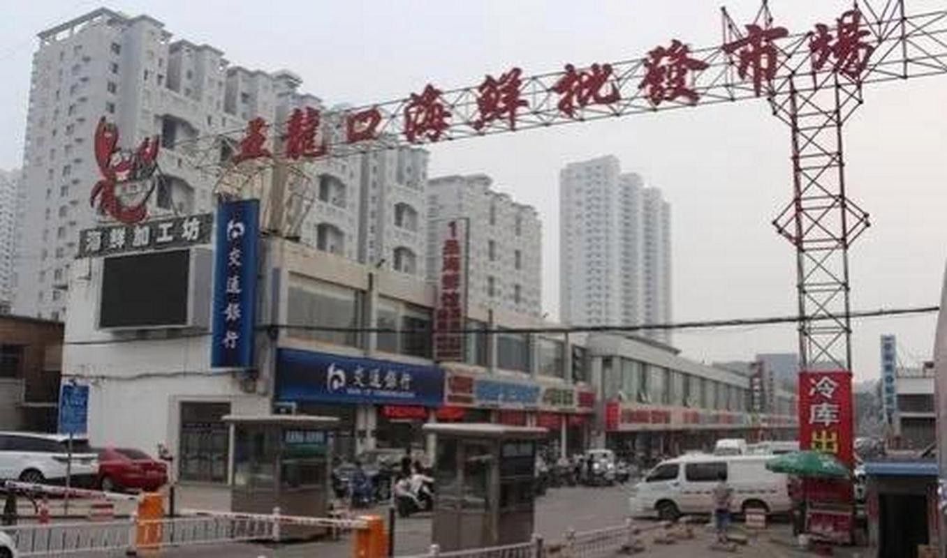 太原龍魚批發在哪里賣好