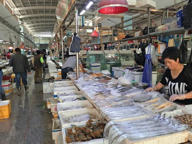 太原龍魚批發在哪里賣好