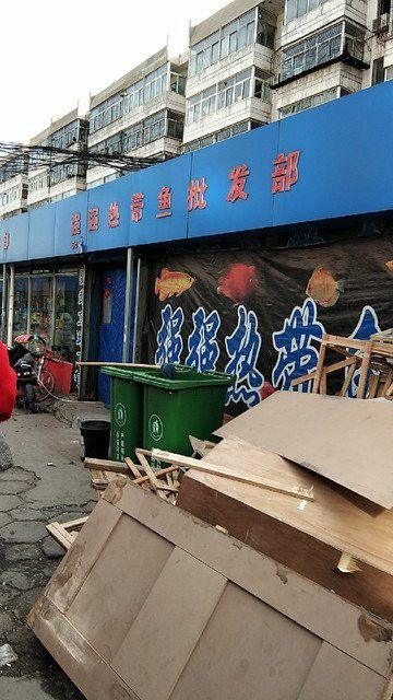 太原龍魚批發在哪里賣好