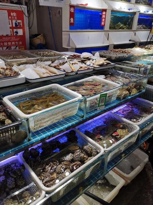 太原龍魚批發在哪里賣好