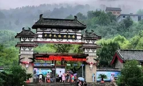 金龍魚混養魚最佳搭配視頻講解圖：金龍魚一起養的魚