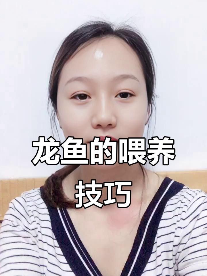 龍魚喂什么食物最好