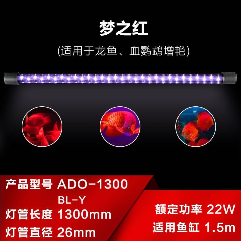 龍魚用什么燈管最好看：養殖龍魚時，選擇適合的燈光對于它們的觀賞價值和健康至關重要