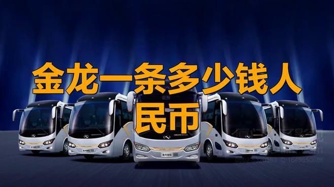 古典過背金龍的市場(chǎng)價(jià)格如何