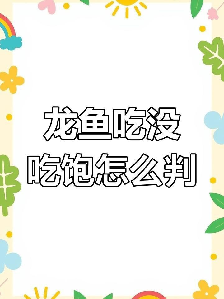 如何判斷短身紅龍魚是否吃飽？