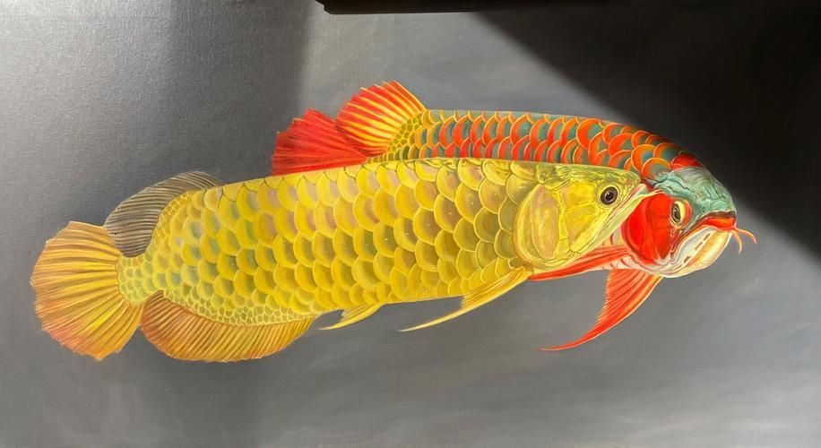 龍魚(yú)圖騰圖片