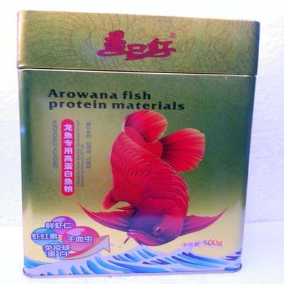 紅龍魚沉頭會死嗎：如果紅龍魚沉頭癥狀持續不改善，應及時尋求專業的獸醫幫助