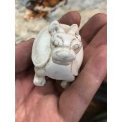 龍龜?shù)袼艿膬r(jià)格是多少？