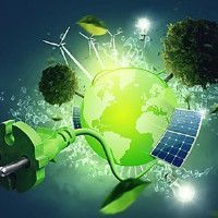 金龍魚標準號一覽表