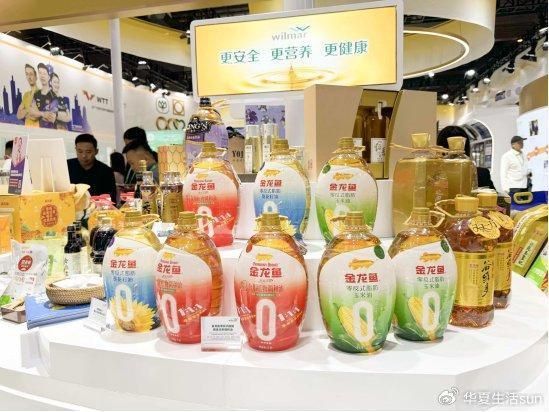 金龍魚標準號一覽表