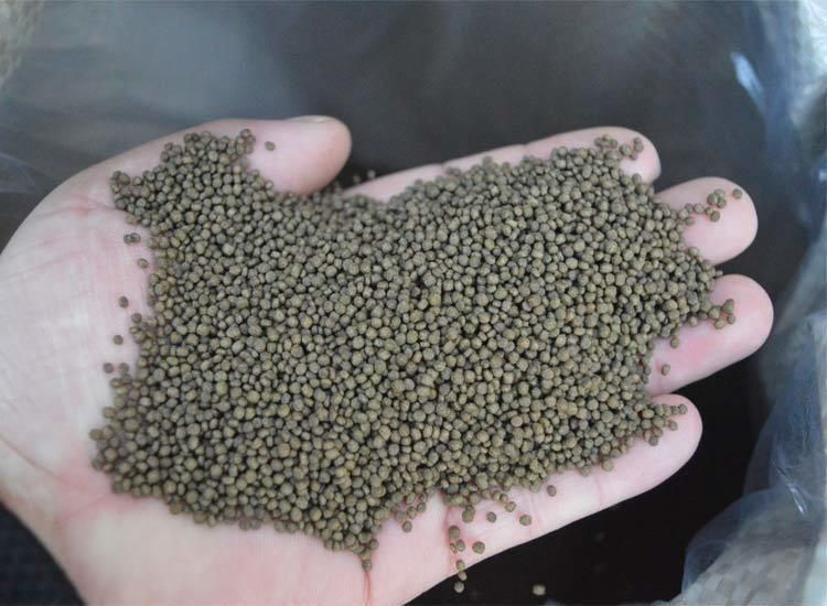 龍魚寄生蟲表現有哪些：龍魚寄生蟲的表現