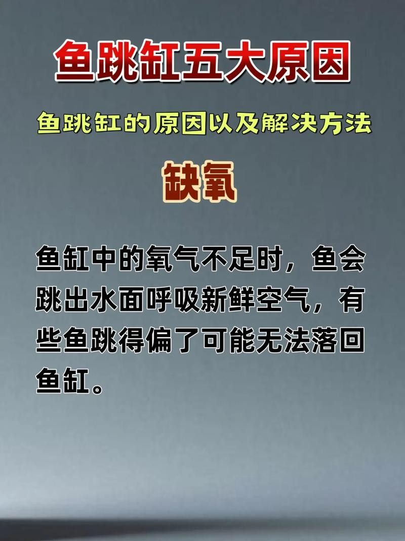 龍魚跳缸的原因有哪些圖片