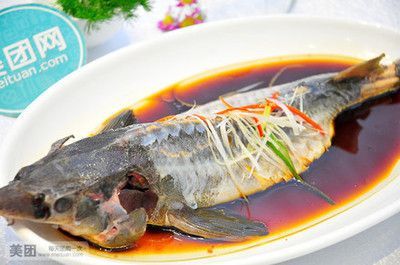 鄭州哪里賣龍魚多