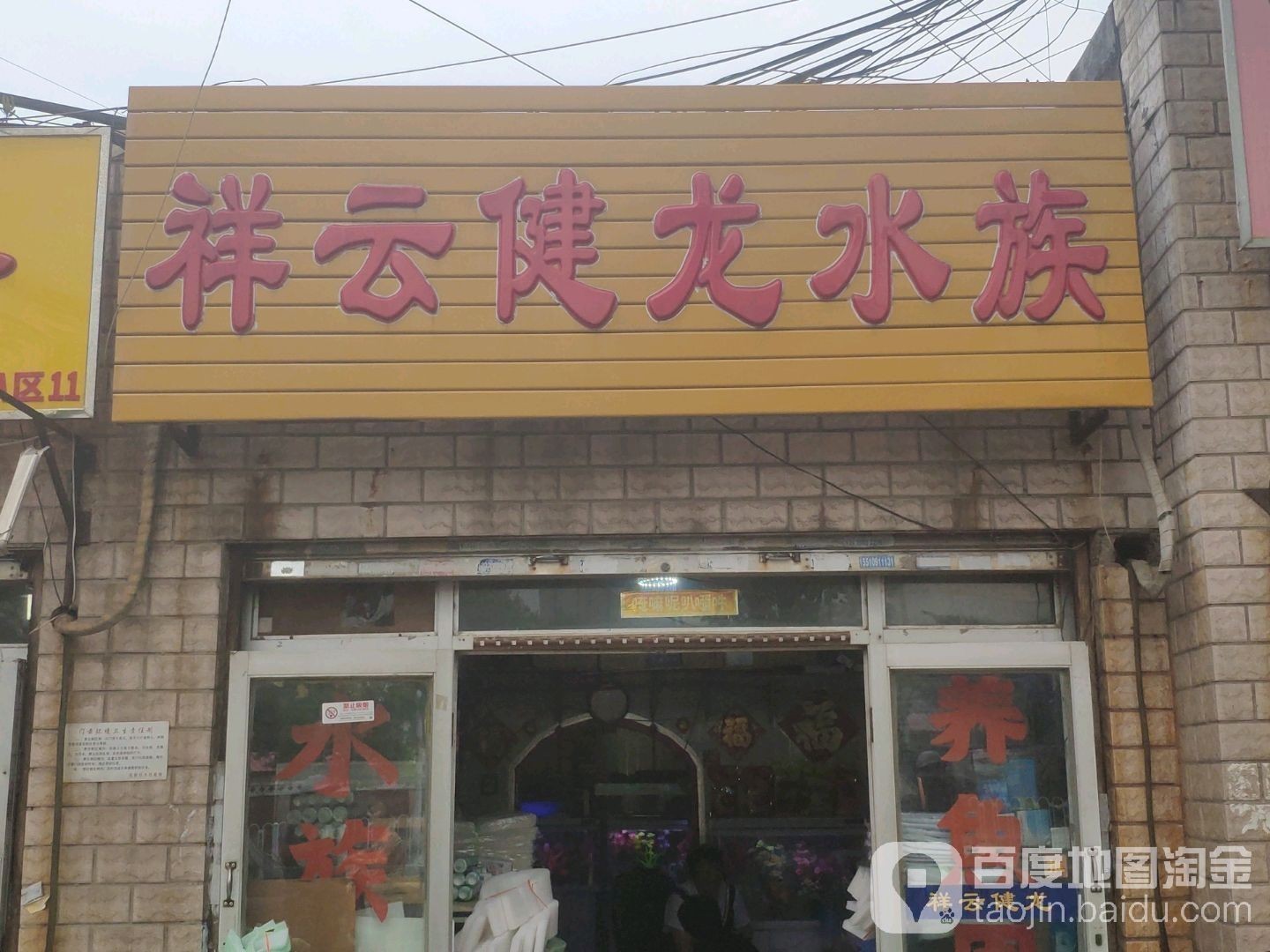 天津龍魚批發(fā)祥龍魚場地址在哪里