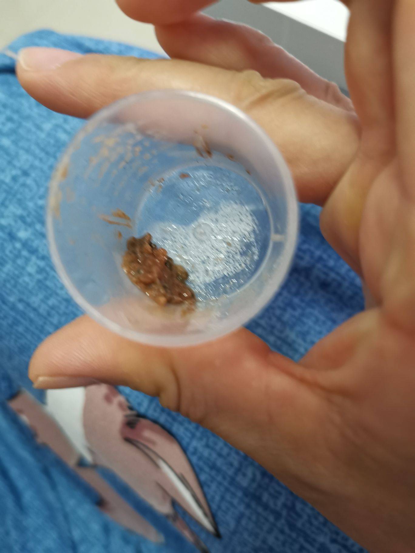 阿蓮卡死活不開口咋個辦