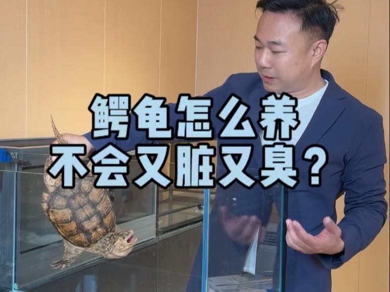 坤桑沉浸式養(yǎng)鱷龜