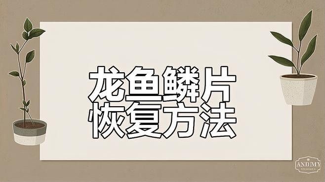龍魚魚鱗充血怎么辦尾部下沉