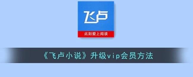 飛盧小說網的VIP會員費用是多少？