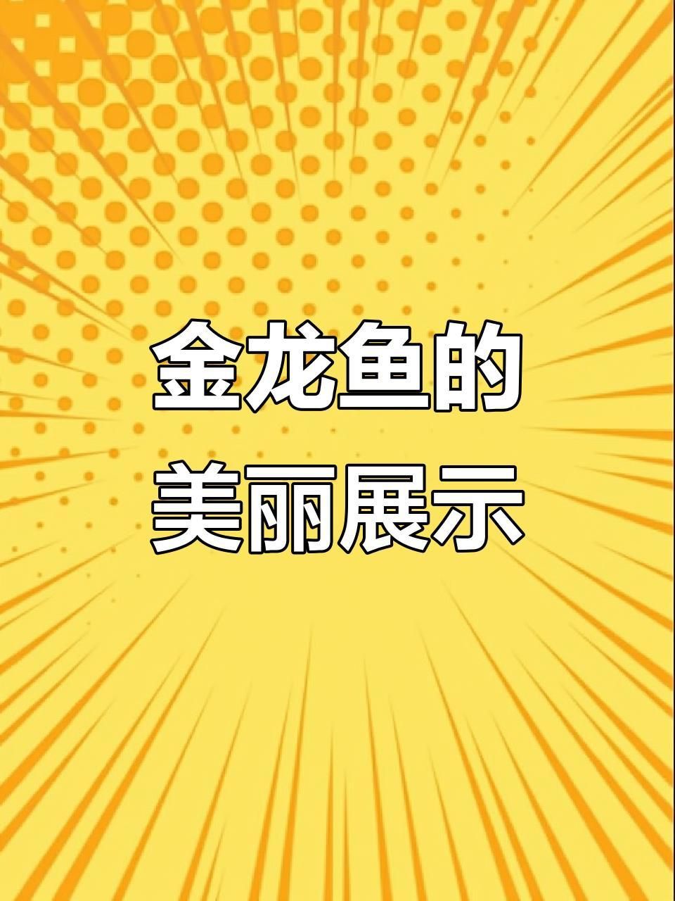 金龍魚視頻觀賞大全