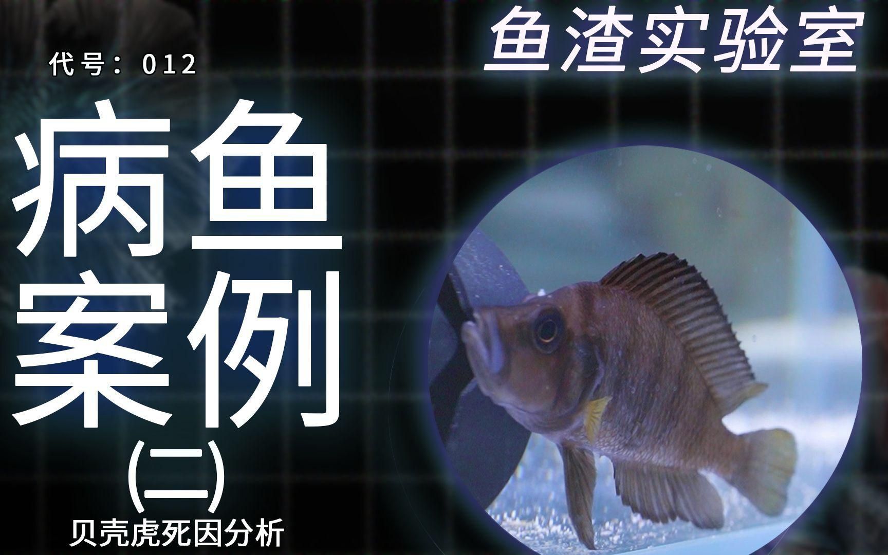 如何判斷魚類是否因疫病死亡？