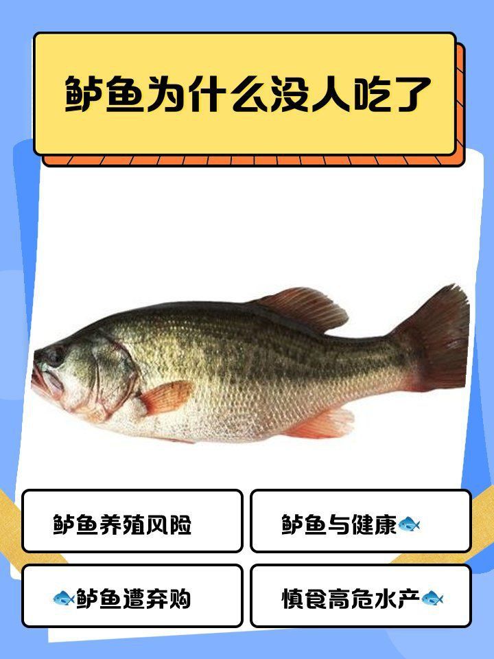 鱸魚為何被國家叫停