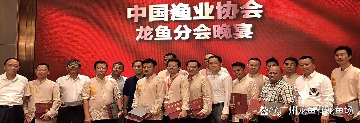 龍魚可以兩條一起養的嗎