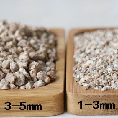 龍魚撞破嘴唇多久能好呀：龍魚嘴唇撞傷的恢復時間