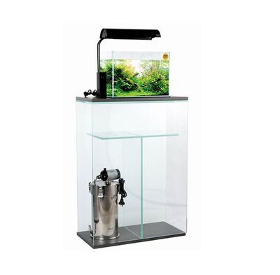 龍魚缸怎么降溫效果好：夏季龍魚缸怎么降溫效果好