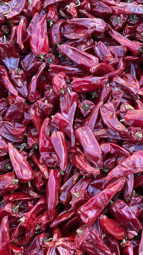 頂級紅龍魚品牌有哪些品種的