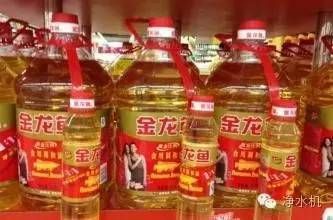 最好金龍魚多少錢（金龍魚的價格受哪些因素影響）