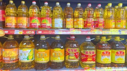 最好金龍魚多少錢（金龍魚的價格受哪些因素影響）