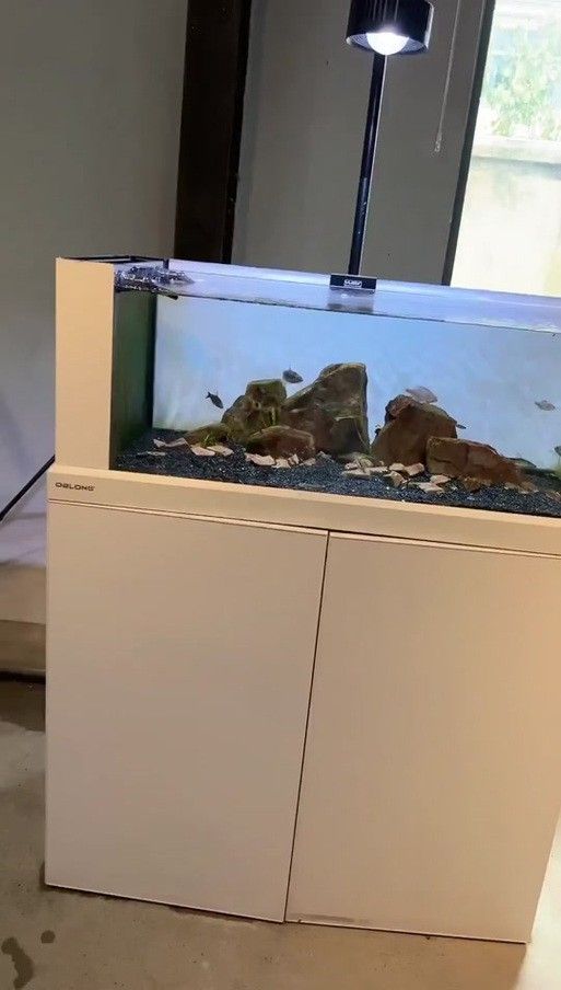 歐鉑龍魚缸怎么樣