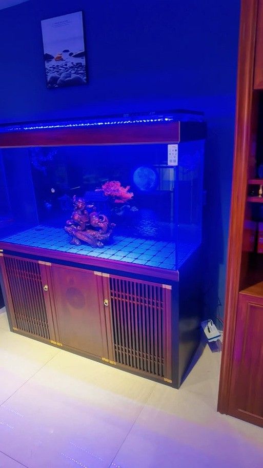 歐鉑龍魚缸怎么樣