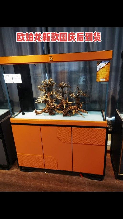 歐鉑龍魚缸怎么樣